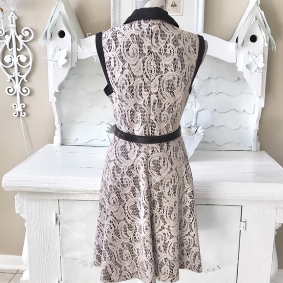 Collared Fit & Flare Lace Dress - Picture 2 of 4